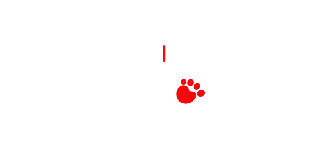Omoda Jaecoo Amazonas