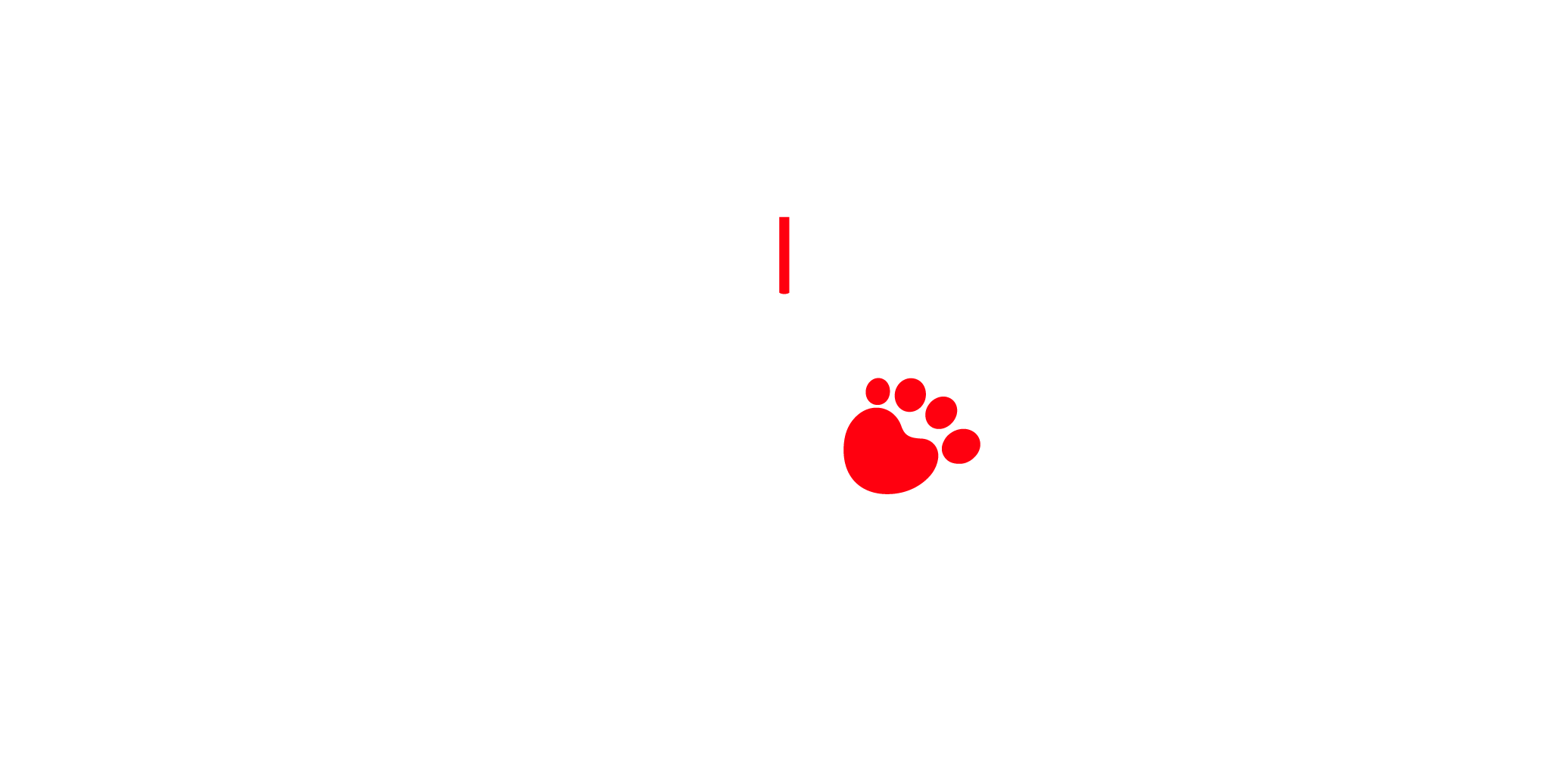 Omoda Jaecoo Amazonas